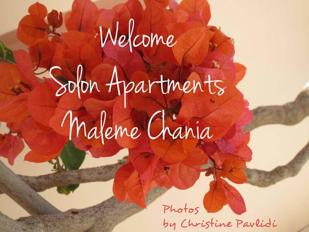 מאלמה Solon Apartments מראה חיצוני תמונה